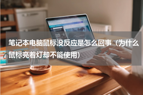 笔记本电脑鼠标没反应是怎么回事（为什么鼠标亮着灯却不能使用）