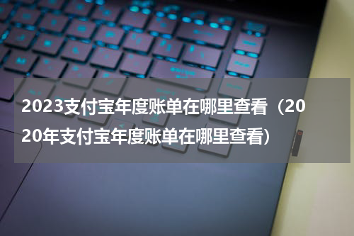 2023支付宝年度账单在哪里查看（2020年支付宝年度账单在哪里查看）