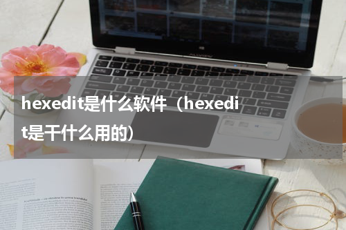 hexedit是什么软件（hexedit是干什么用的）