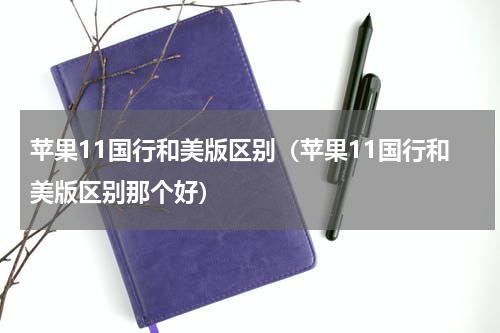 苹果11国行和美版区别（苹果11国行和美版区别那个好）