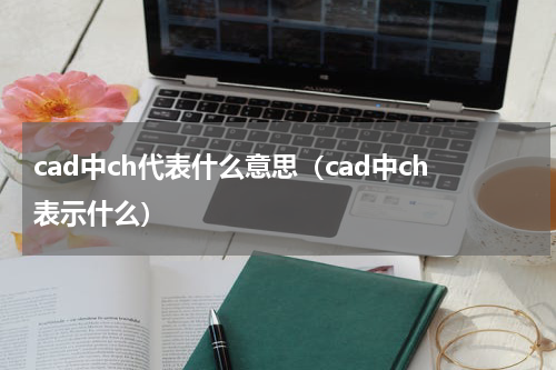 cad中ch代表什么意思（cad中ch表示什么）