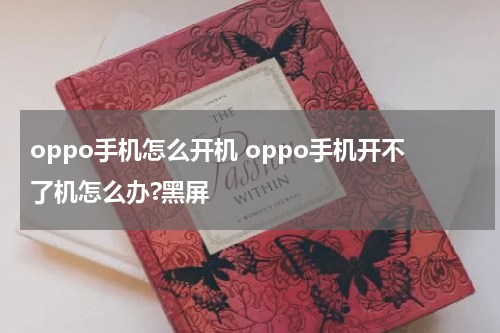 oppo手机怎么开机 oppo手机开不了机怎么办?黑屏