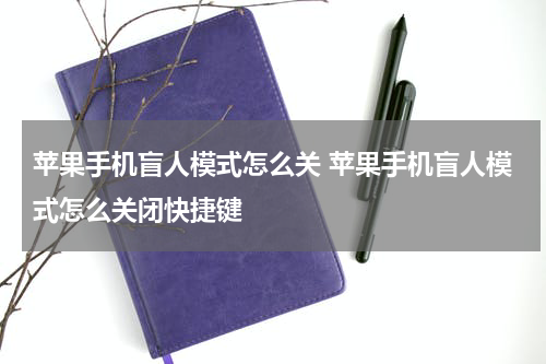 苹果手机盲人模式怎么关 苹果手机盲人模式怎么关闭快捷键