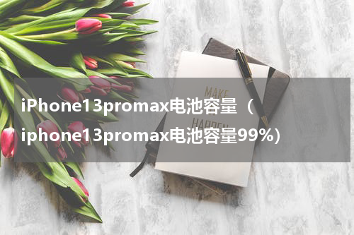 iPhone13promax电池容量（iphone13promax电池容量99%）