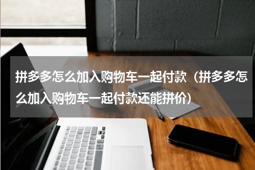 拼多多怎么加入购物车一起付款（拼多多怎么加入购物车一起付款还能拼价）