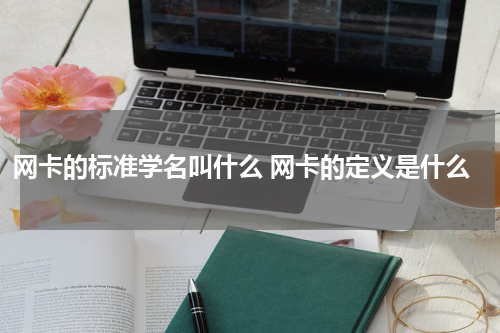 网卡的标准学名叫什么 网卡的定义是什么