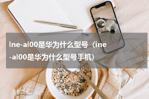 lne-al00是华为什么型号（ine-al00是华为什么型号手机）
