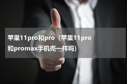 苹果11pro和pro（苹果11pro和promax手机壳一样吗）