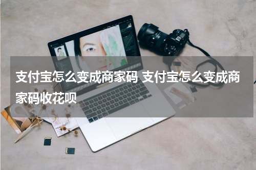 支付宝怎么变成商家码 支付宝怎么变成商家码收花呗