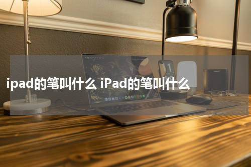 ipad的笔叫什么 iPad的笔叫什么