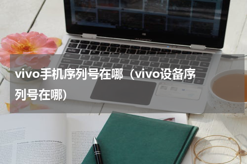 vivo手机序列号在哪（vivo设备序列号在哪）