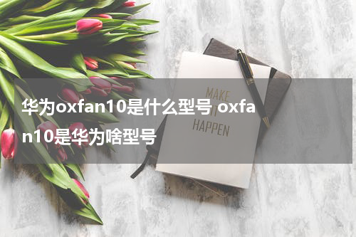 华为oxfan10是什么型号 oxfan10是华为啥型号