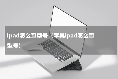 ipad怎么查型号（苹果ipad怎么查型号）