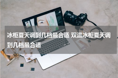 冰柜夏天调到几档最合适 双温冰柜夏天调到几档最合适