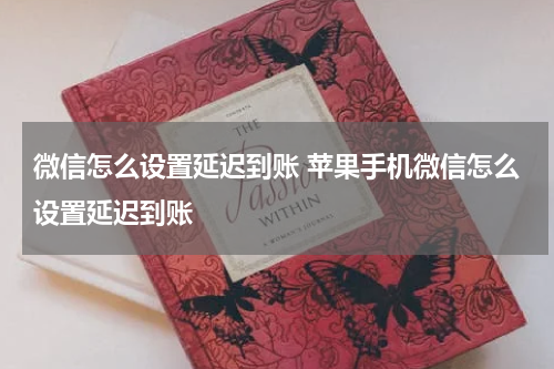 微信怎么设置延迟到账 苹果手机微信怎么设置延迟到账