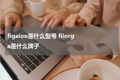 figaloo是什么型号 filorga是什么牌子