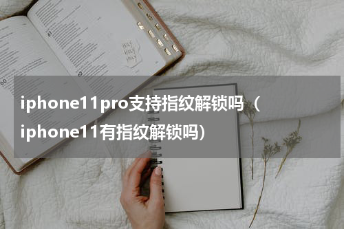 iphone11pro支持指纹解锁吗（iphone11有指纹解锁吗）