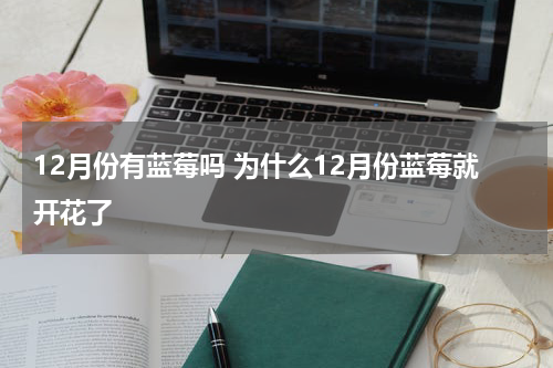 12月份有蓝莓吗 为什么12月份蓝莓就开花了