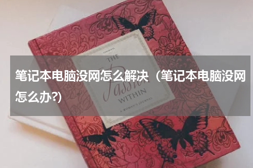 笔记本电脑没网怎么解决（笔记本电脑没网怎么办?）