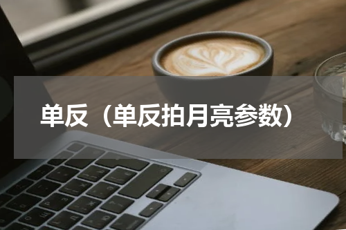 单反（单反拍月亮参数）