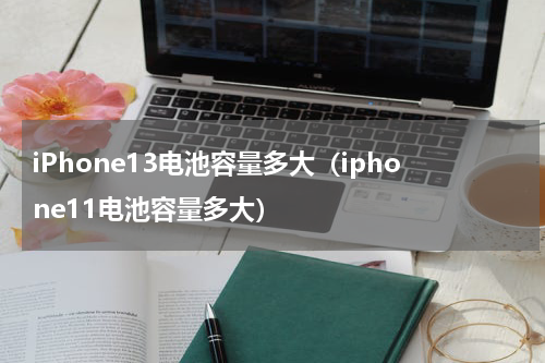 iPhone13电池容量多大（iphone11电池容量多大）