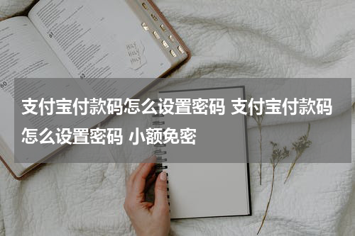 支付宝付款码怎么设置密码 支付宝付款码怎么设置密码 小额免密