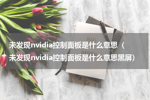 未发现nvidia控制面板是什么意思（未发现nvidia控制面板是什么意思黑屏）