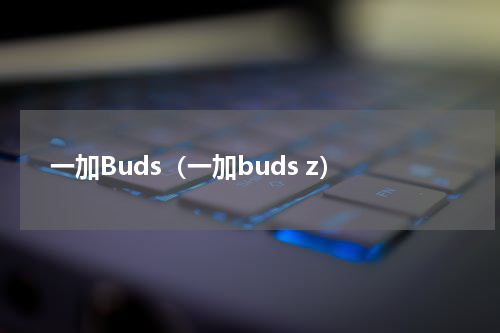 一加Buds（一加buds z）