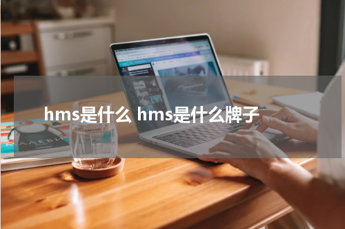hms是什么 hms是什么牌子