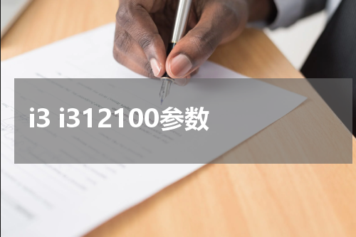 i3 i312100参数