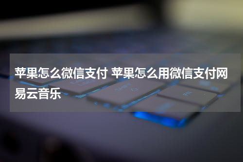苹果怎么微信支付 苹果怎么用微信支付网易云音乐