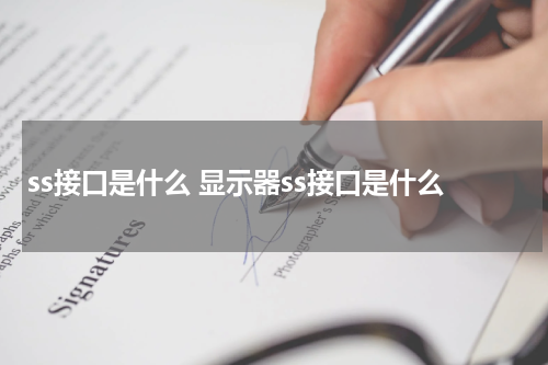 ss接口是什么 显示器ss接口是什么