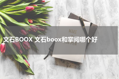 文石BOOX 文石boox和掌阅哪个好