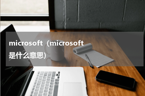 microsoft（microsoft是什么意思）