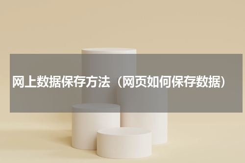 网上数据保存方法（网页如何保存数据）