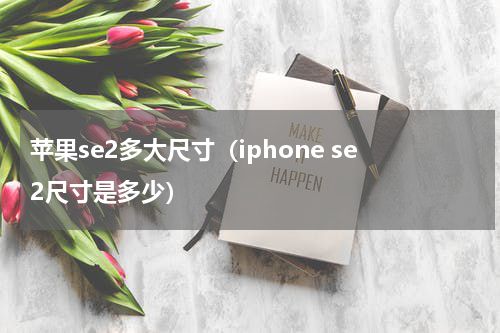苹果se2多大尺寸（iphone se2尺寸是多少）