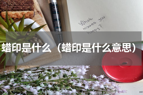 蜡印是什么（蜡印是什么意思）