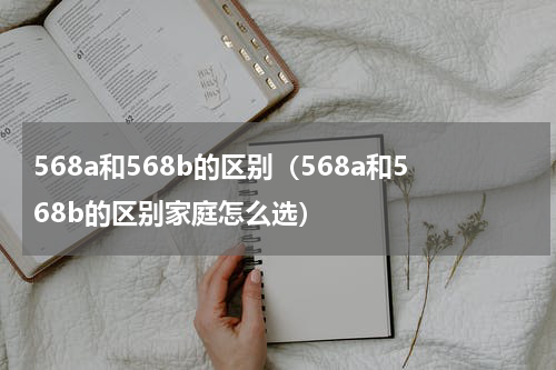 568a和568b的区别（568a和568b的区别家庭怎么选）