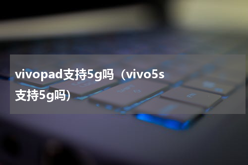vivopad支持5g吗（vivo5s支持5g吗）