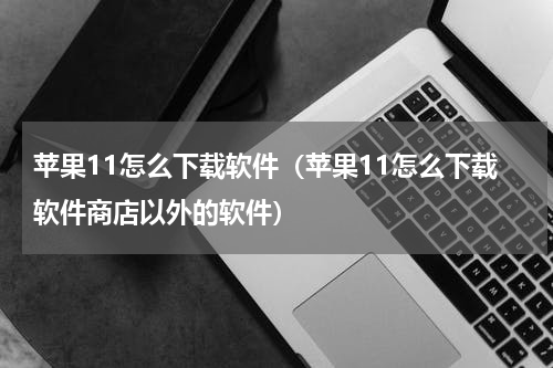 苹果11怎么下载软件（苹果11怎么下载软件商店以外的软件）