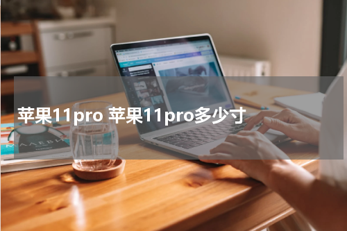 苹果11pro 苹果11pro多少寸