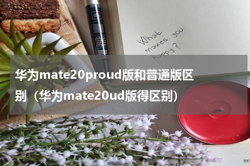 华为mate20proud版和普通版区别（华为mate20ud版得区别）