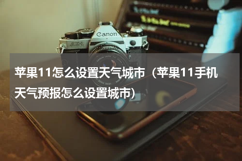 苹果11怎么设置天气城市（苹果11手机天气预报怎么设置城市）