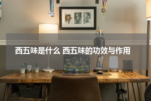 西五味是什么 西五味的功效与作用