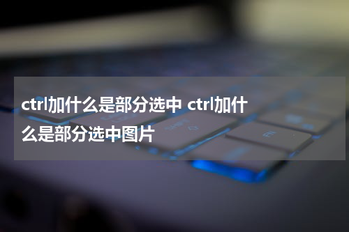 ctrl加什么是部分选中 ctrl加什么是部分选中图片