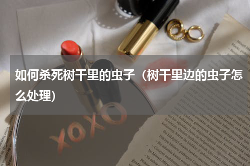 如何杀死树干里的虫子（树干里边的虫子怎么处理）