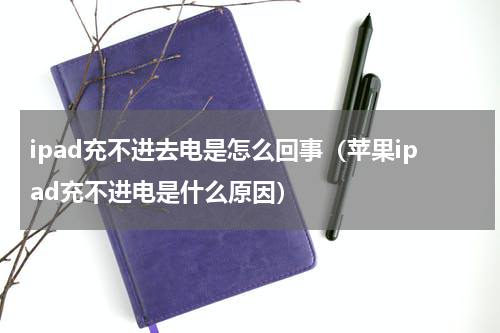ipad充不进去电是怎么回事（苹果ipad充不进电是什么原因）