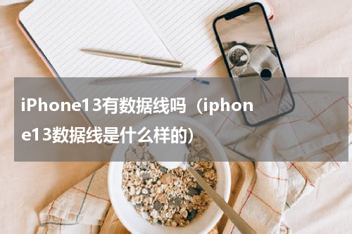 iPhone13有数据线吗（iphone13数据线是什么样的）