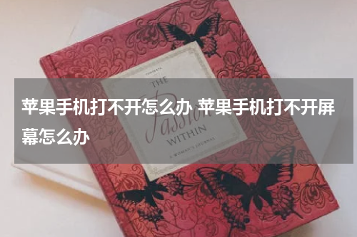 苹果手机打不开怎么办 苹果手机打不开屏幕怎么办