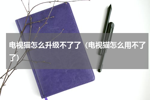 电视猫怎么升级不了了（电视猫怎么用不了了）